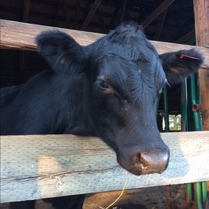 Meet your Posher, Kaitlyn